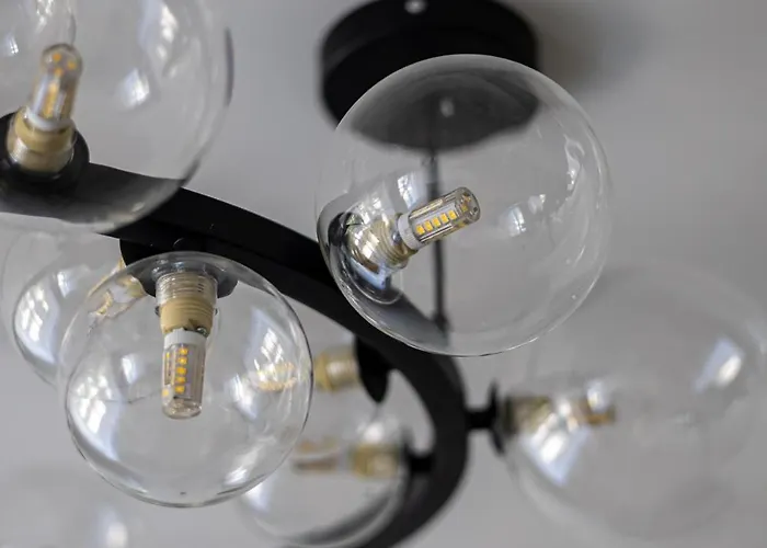 Cohost I 2bd Near Centre Daire Palanga