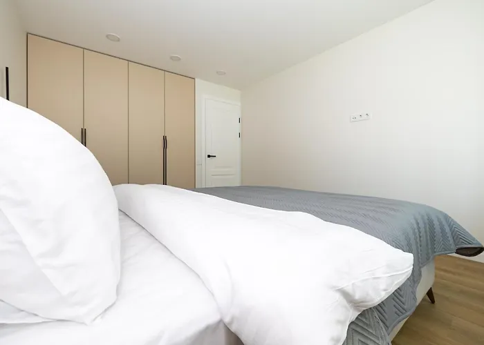 Cohost I 2bd Near Centre * Palanga