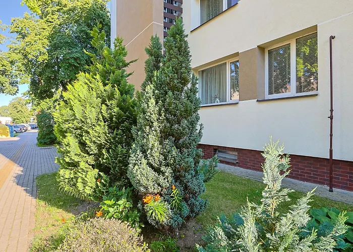 Cohost I 2bd Near Centre